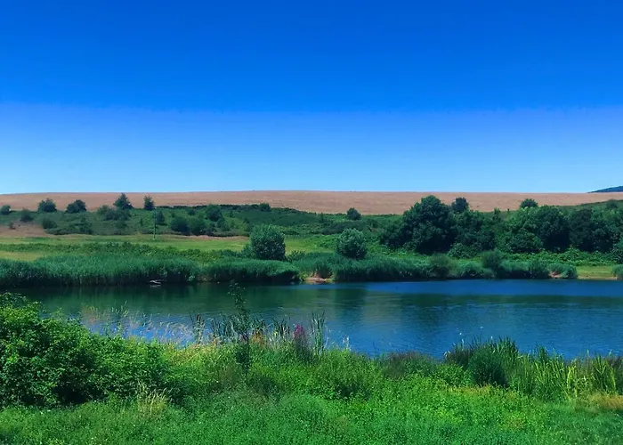 La Terrazza 아파트 *